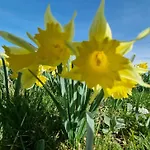 Dans Un Village En Auvergne Sancy Apartment *