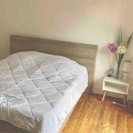 Dans Un Village En Auvergne Sancy *