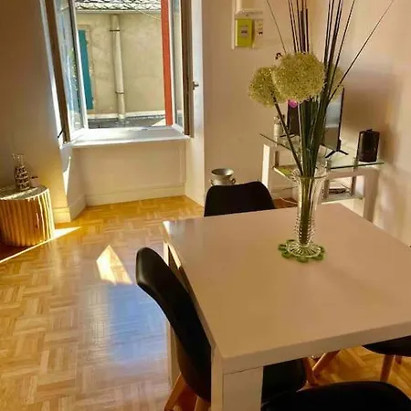 Apartment Dans Un Village En Auvergne Sancy *
