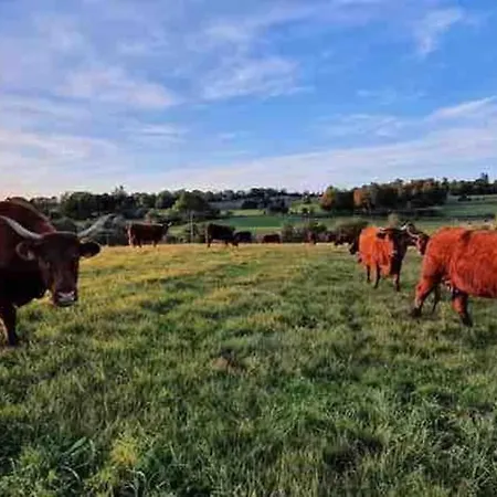 Dans Un Village En Auvergne Sancy Egliseneuve-d'Entraigues