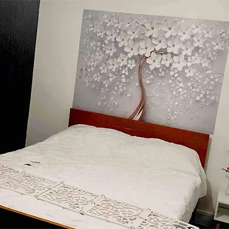 Dans Un Village En Auvergne Sancy Apartment