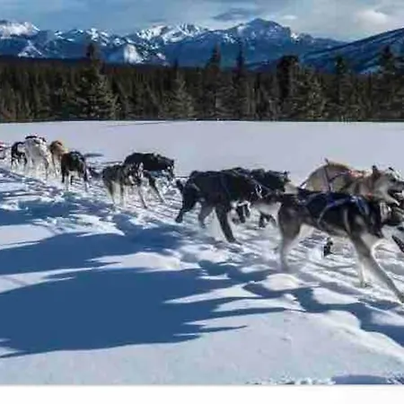 Apartamento Dans Un Village En Auvergne Sancy