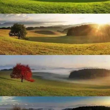 Dans Un Village En Auvergne Sancy *