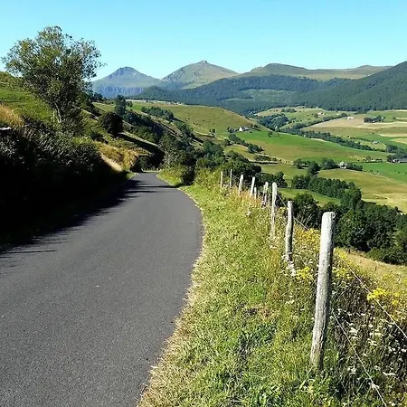 Apartment Dans Un Village En Auvergne Sancy