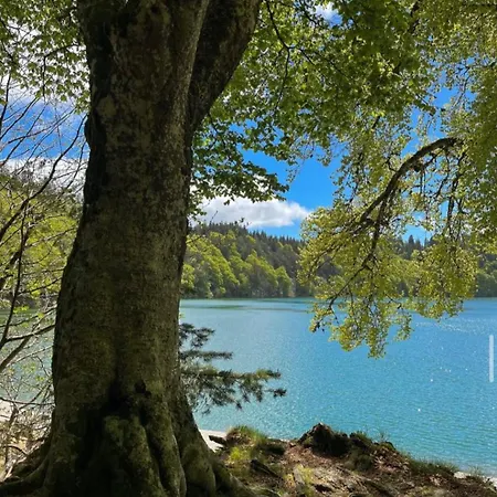 Apartamento Dans Un Village En Auvergne Sancy