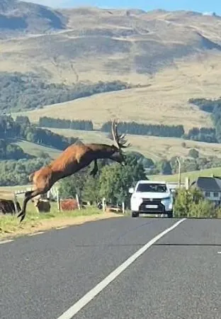 Apartamento Dans Un Village En Auvergne Sancy Égliseneuve-dʼEntraigues