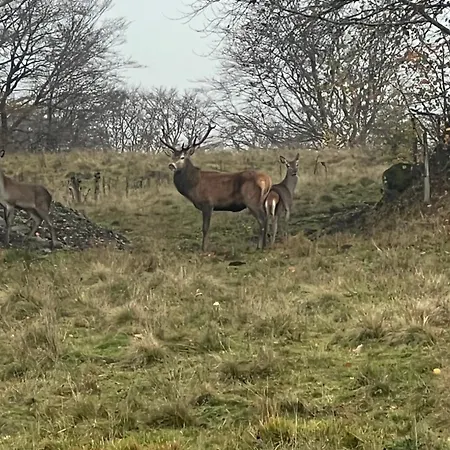 Dans Un Village En Auvergne Sancy Апартаменты *