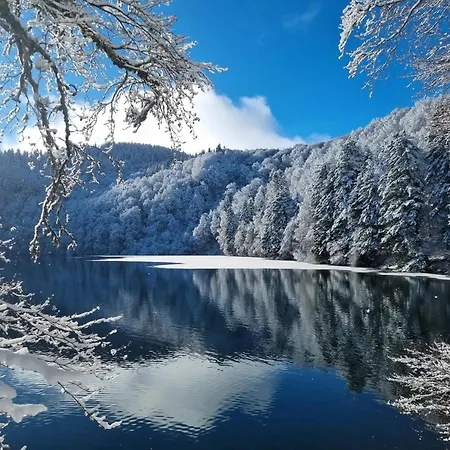 Dans Un Village En Auvergne Sancy Апартаменты