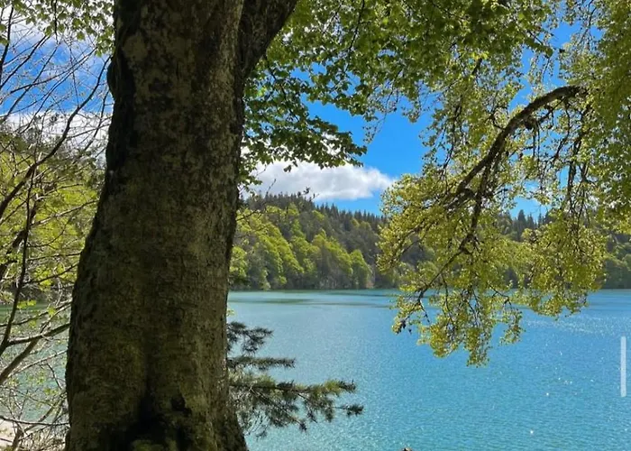 Апартаменты Dans Un Village En Auvergne Sancy