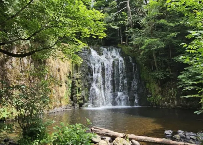 Апартаменты Dans Un Village En Auvergne Sancy Egliseneuve-d'Entraigues