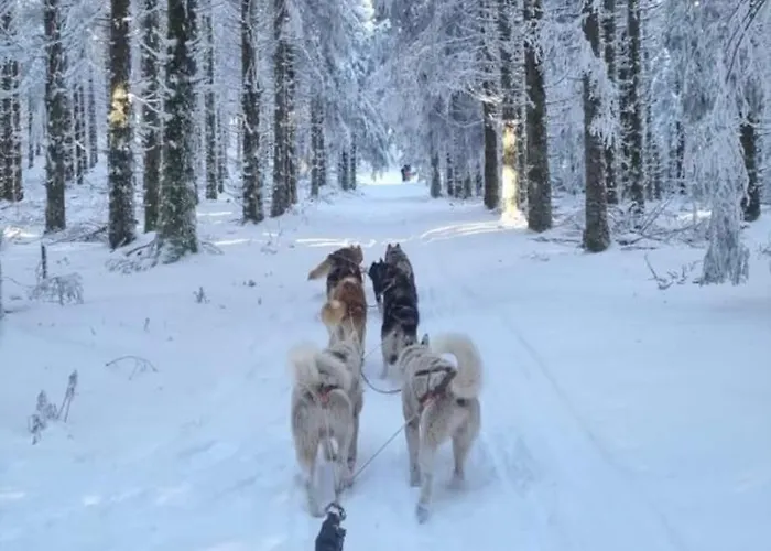 Dans Un Village En Auvergne Sancy Апартаменты Egliseneuve-d'Entraigues